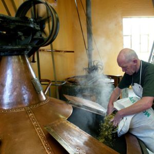 Brewery Business