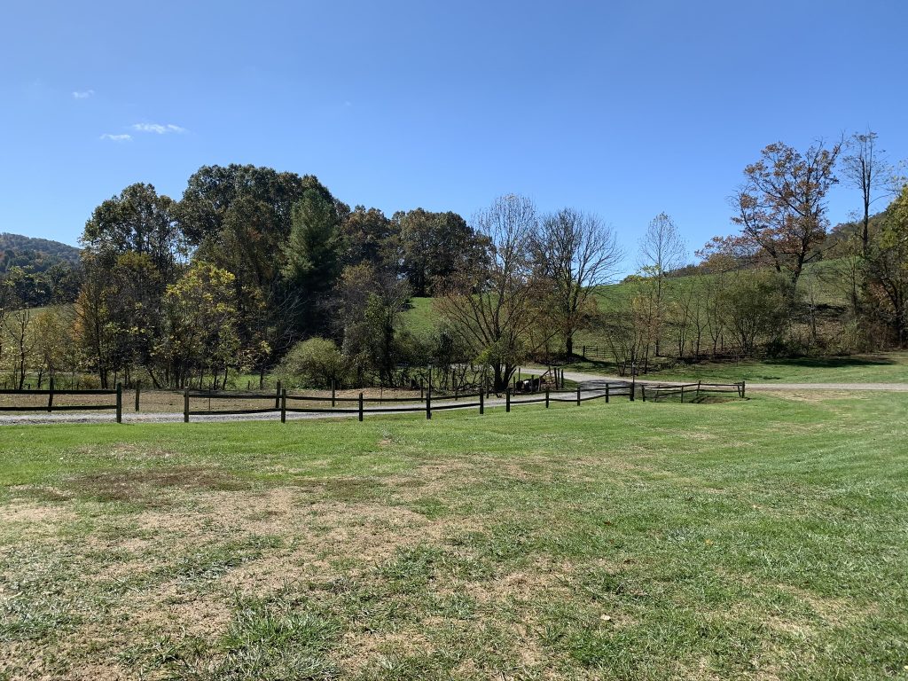 Western Carolina Medical Society Fall Festival