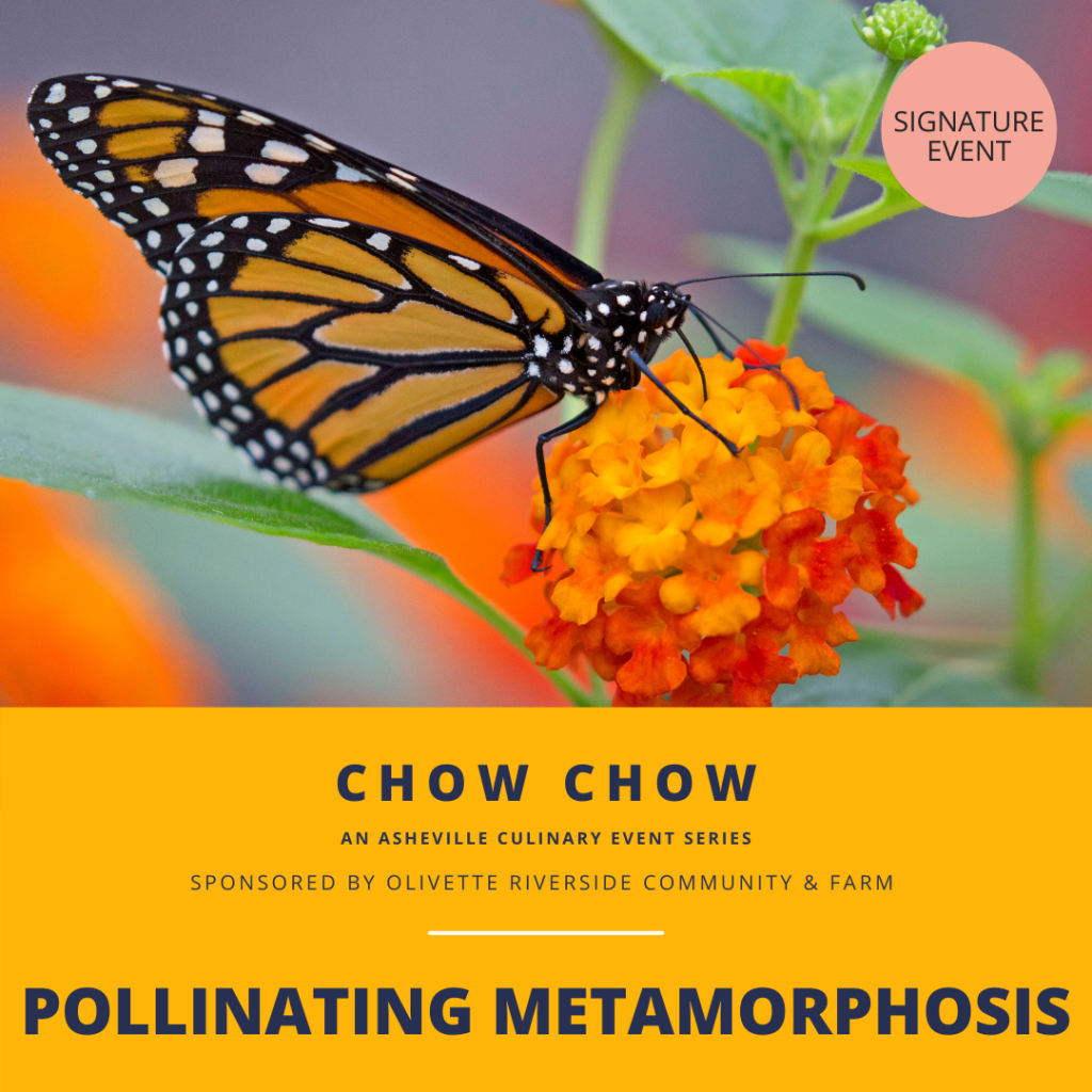 Chow Chow Festival Event Pollinating Metamorphosis